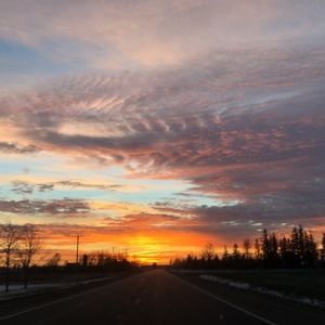 Meet your Posher, Janneke